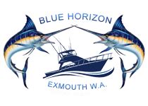 fishing charter exmouth|blue horizon fishing charters exmouth.